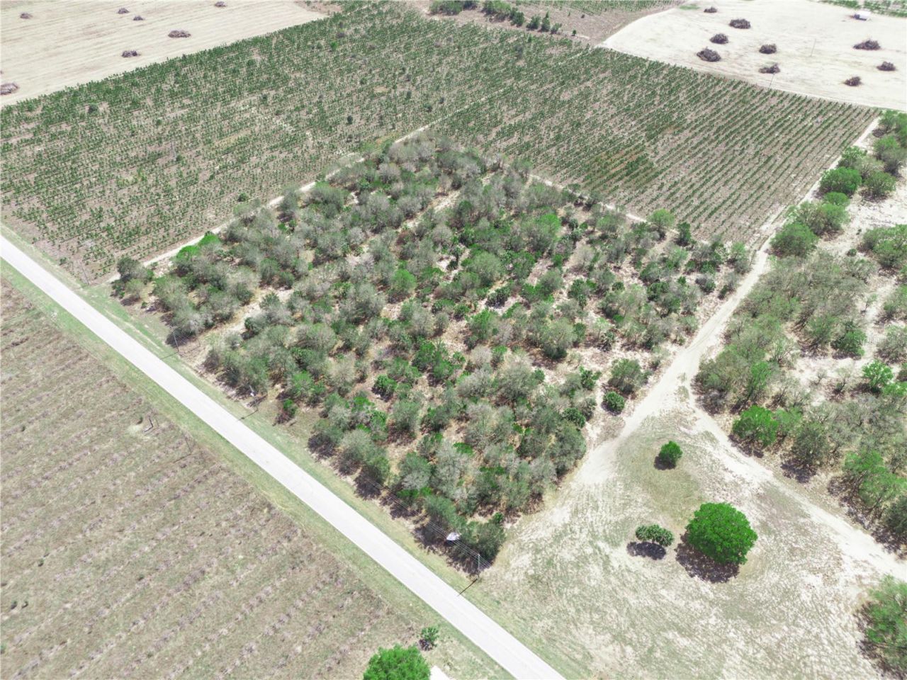 Friedlander Road , Babson Park, FL 33827 Photo