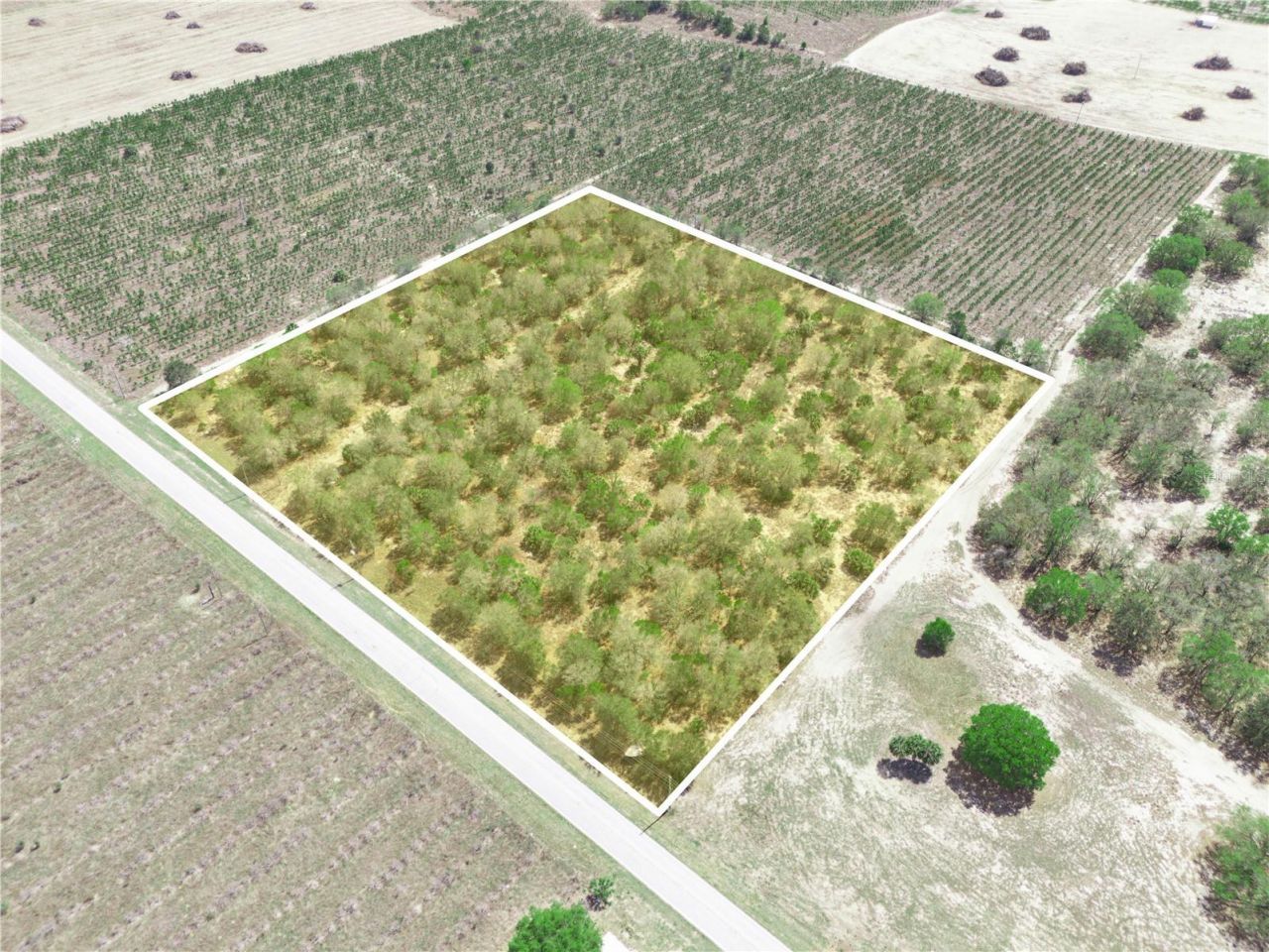 Friedlander Road , Babson Park, FL 33827 Photo