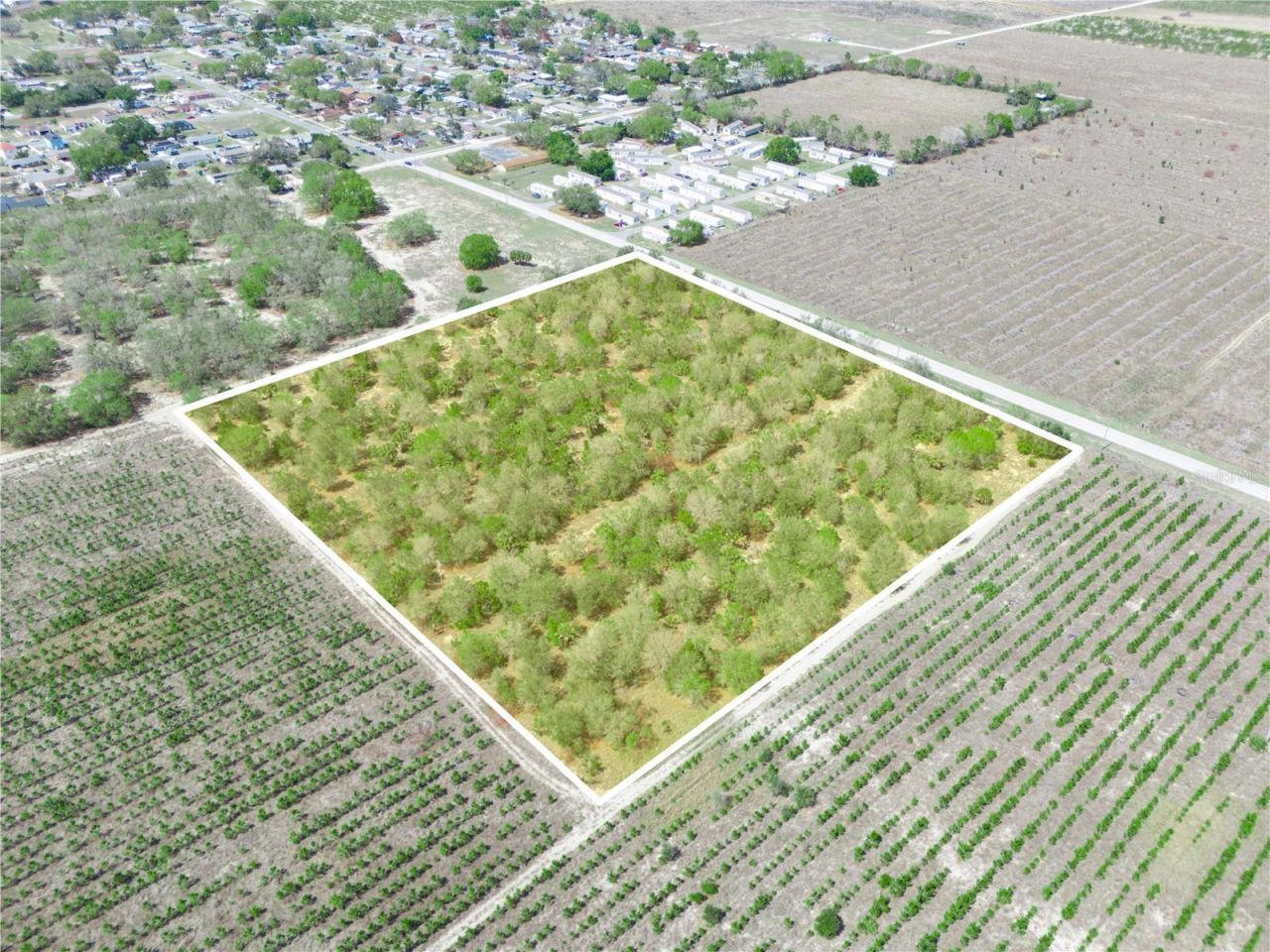 Friedlander Road , Babson Park, FL 33827 Photo