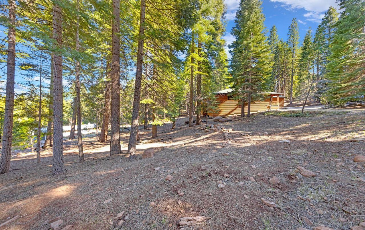 627 Deep Forest Road , Lake Almanor, CA 96137 Photo