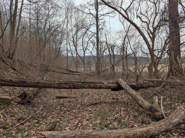 412 Hwy 412 Highway, Osage, AR 72638