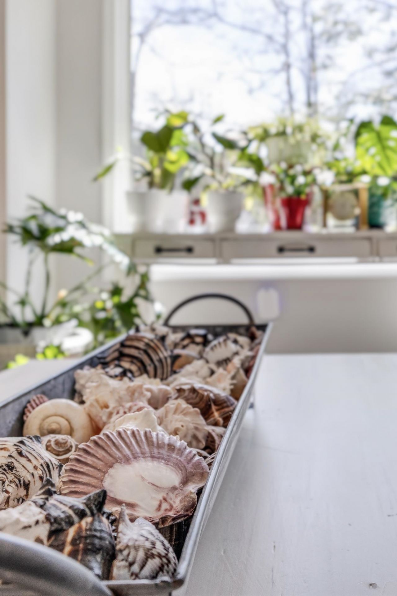 1551 Spinnaker Dr. Photo 12