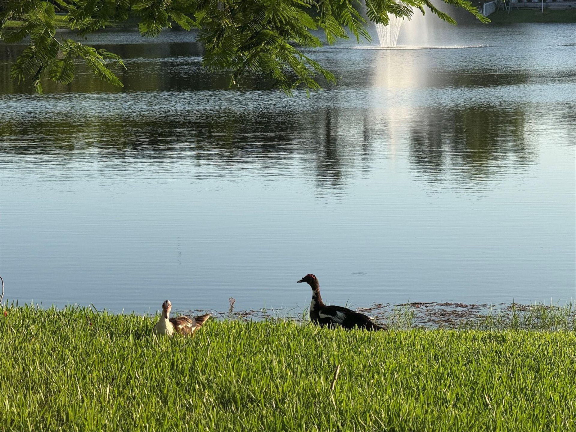 9237 9th Place, Unit 9237, Plantation, FL 33324 Photo