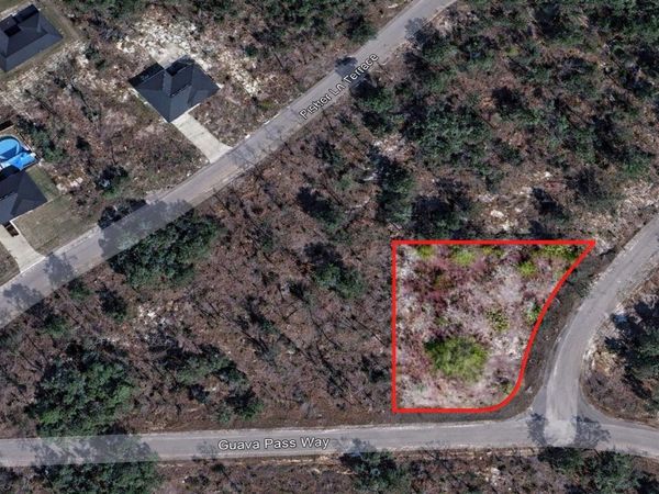 GUAVA PASS PL , OCKLAWAHA, FL 32179