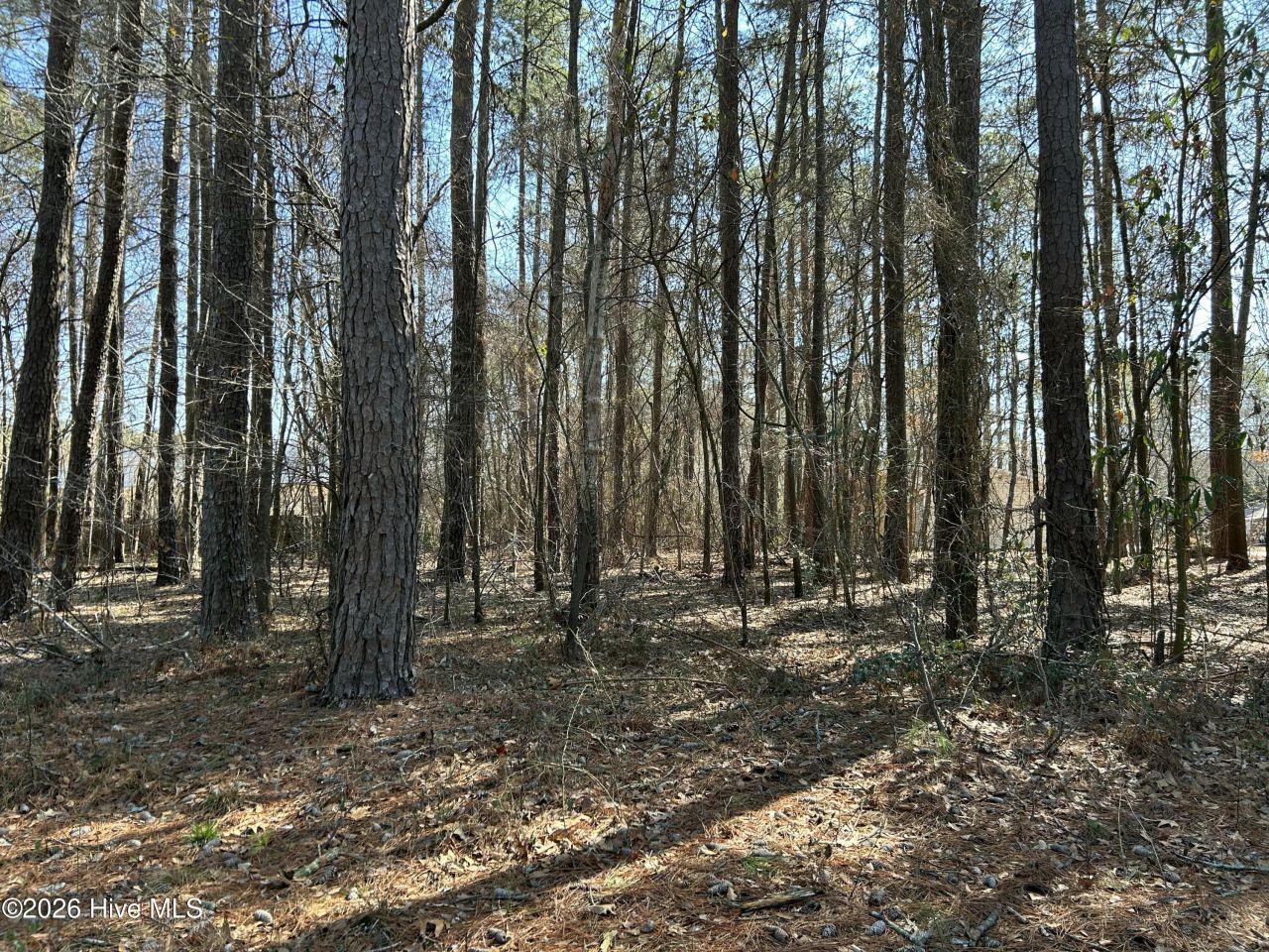 1502 Sac Trail, Edenton, NC 27932 Main Photo