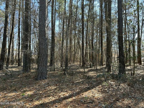 1502 Sac Trail, Edenton, NC 27932