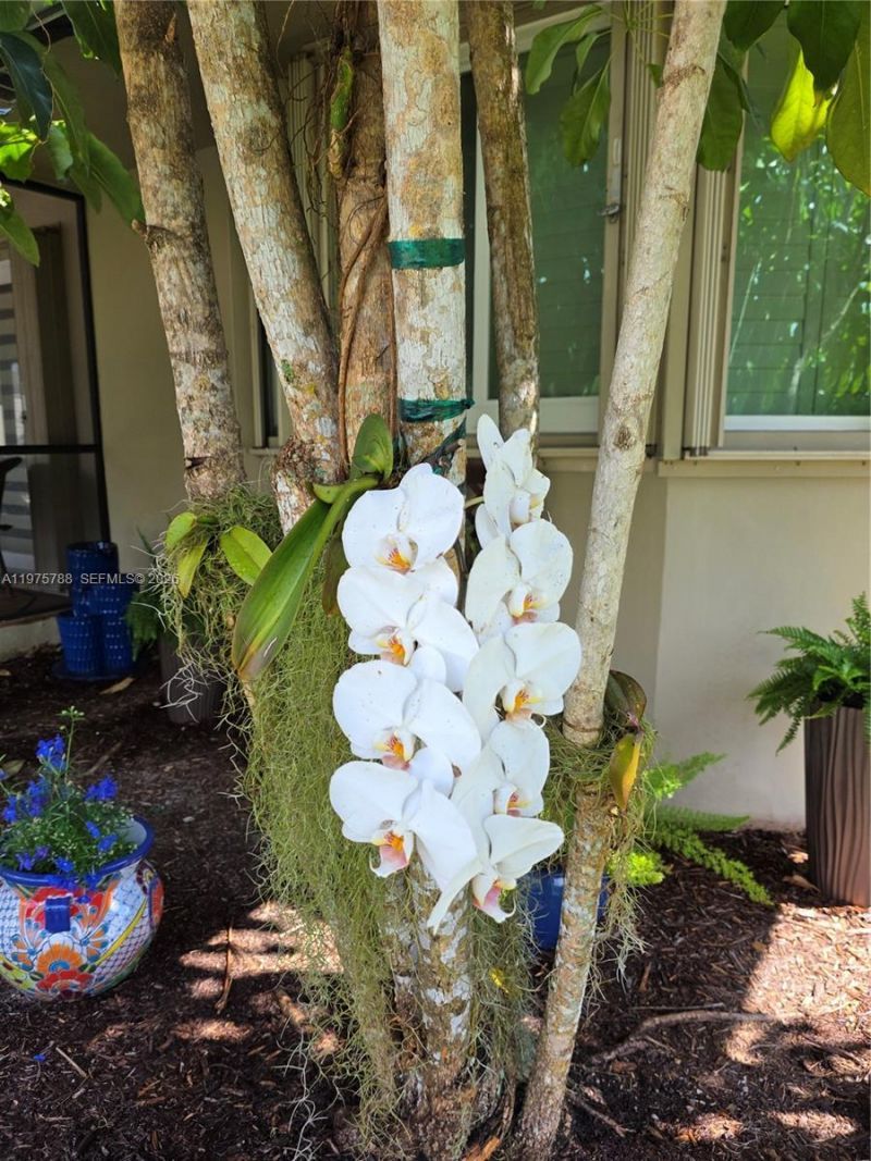 13022 SW 113th Pl, Miami, FL 33176 Photo