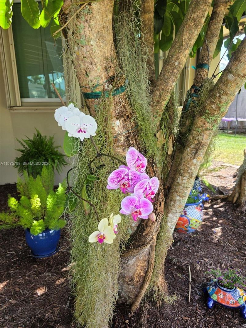 13022 SW 113th Pl, Miami, FL 33176 Photo