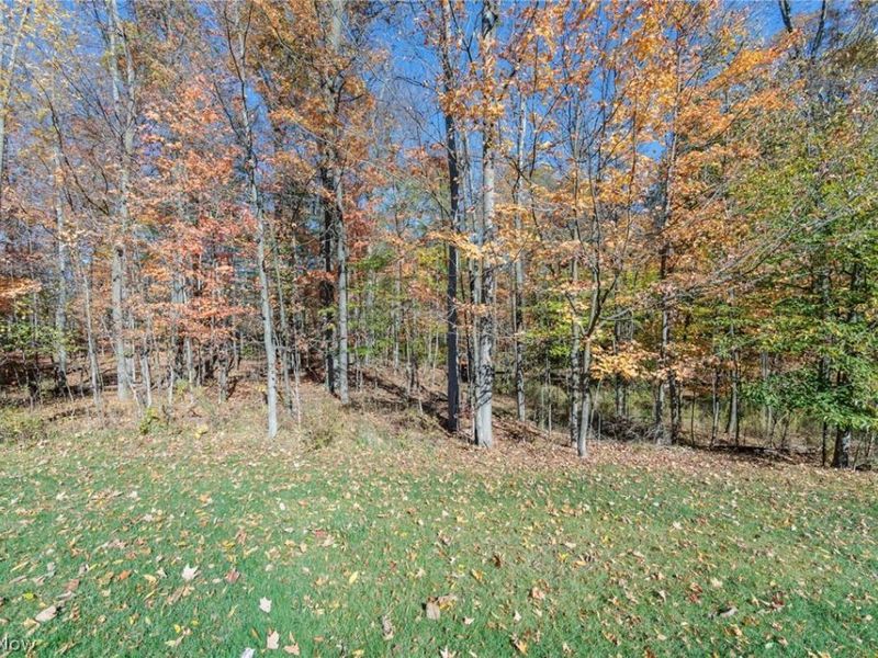 19475 Cavendish Court, North Royalton, OH 44133 Photo 48