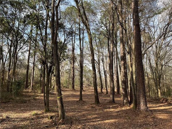 13200 Old Pascagoula Road, Grand Bay, AL 36541