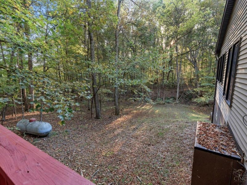 4141 Sweeney Lane, Washington Township, OH 45133 Photo 44