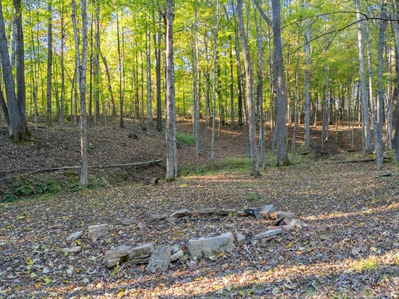 4141 Sweeney Lane, Washington Township, OH 45133 Photo 48