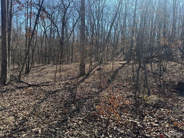 00 Willow Lane, Monroe City, MO 63456