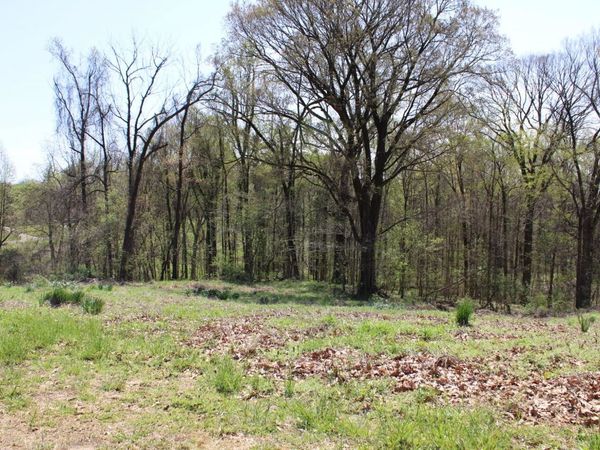 215 S JEFFERSON ST, Ripley, TN 38063