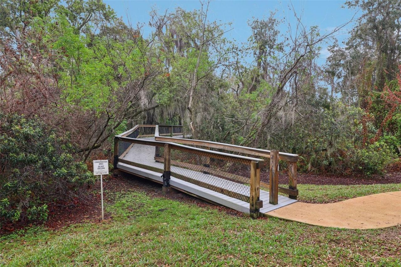 11866 Camden Park Drive, Windermere, FL 34786 Photo