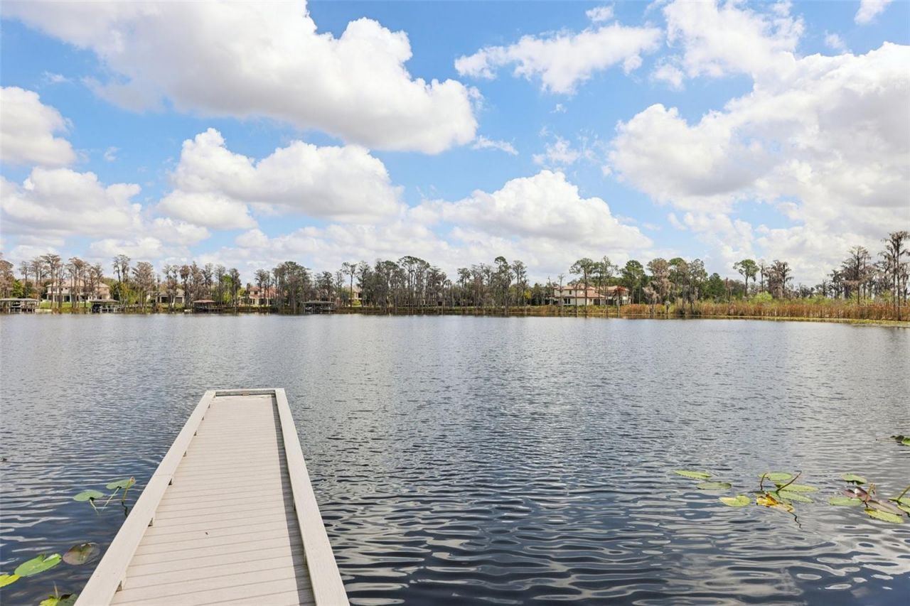 11866 Camden Park Drive, Windermere, FL 34786 Photo