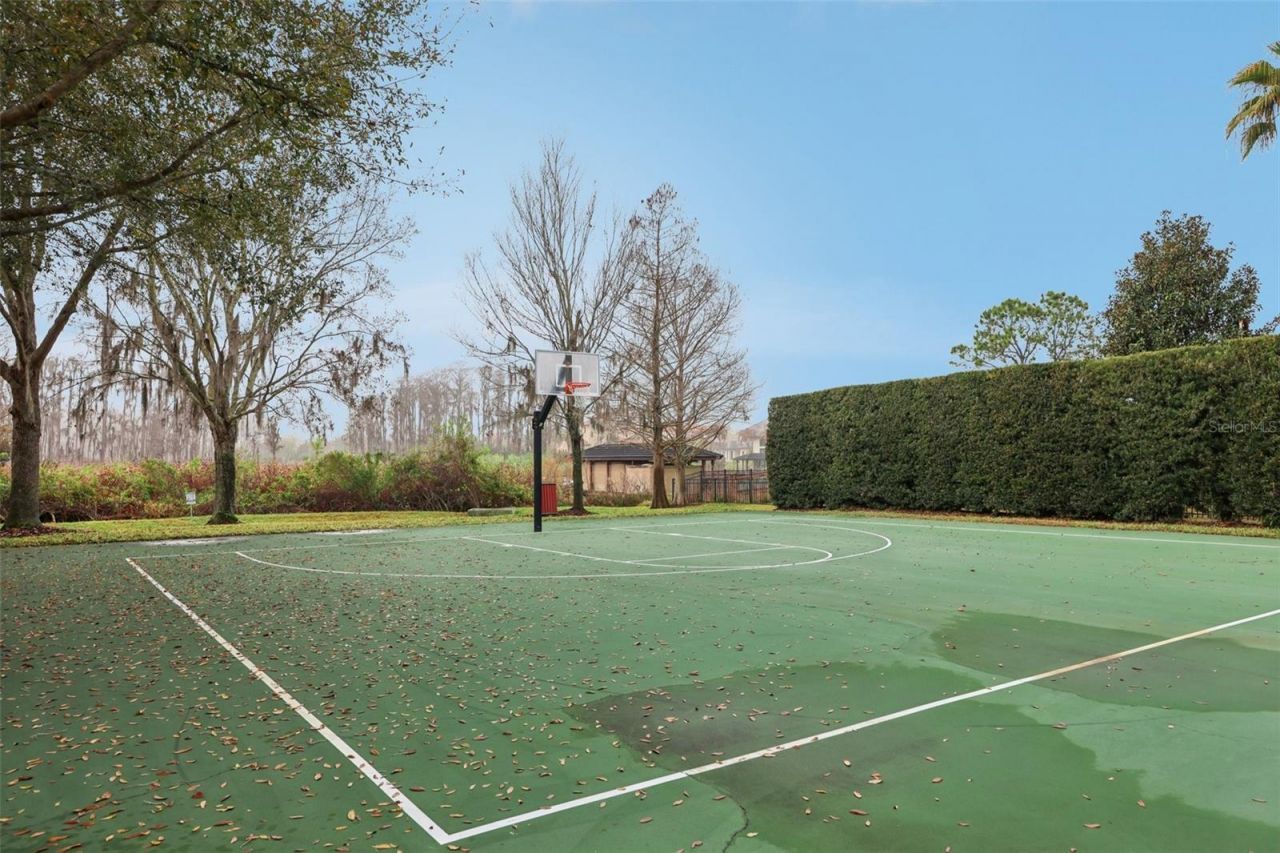 11866 Camden Park Drive, Windermere, FL 34786 Photo