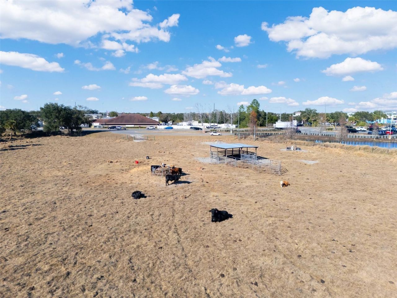 Thompson Nursery Road , Lake Wales, FL 33859 Photo