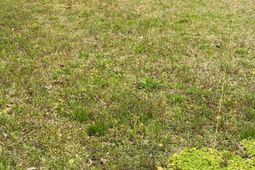 114 Magnolia Street photo 4