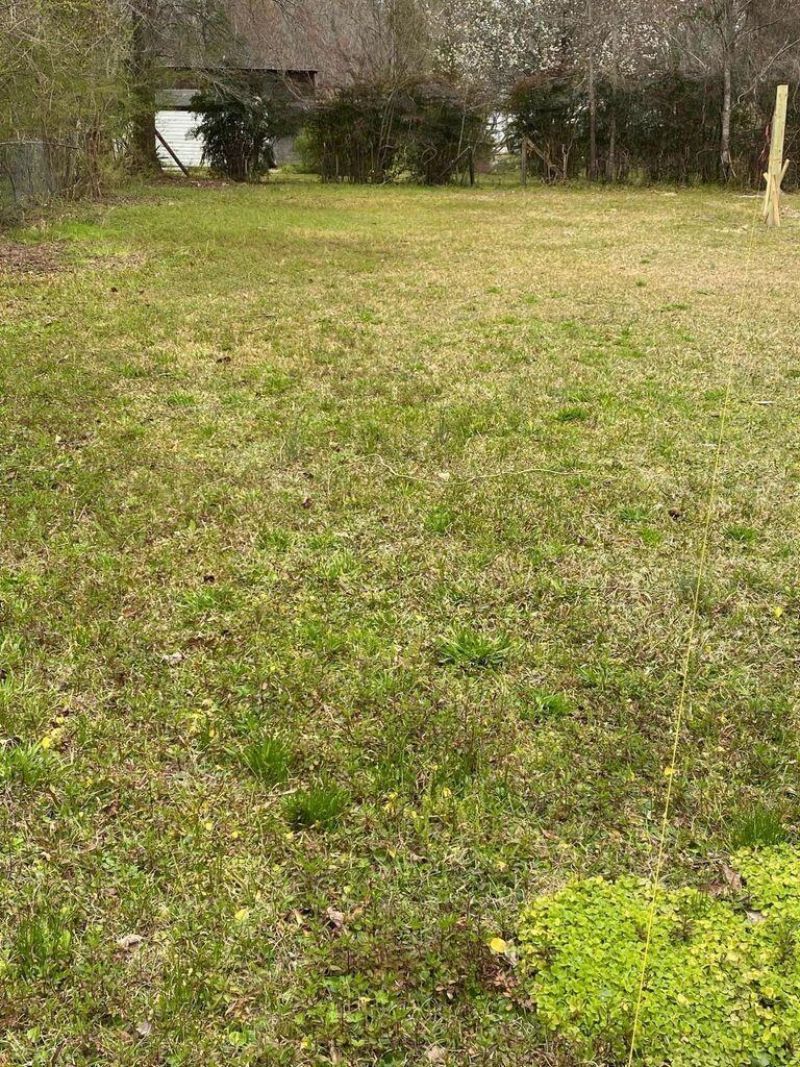 114 Magnolia Street Photo 4