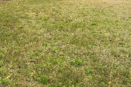 114 Magnolia Street photo 4