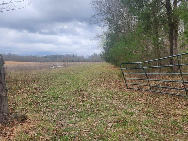 TBD Albert Pike Rd , Royal, AR 71968