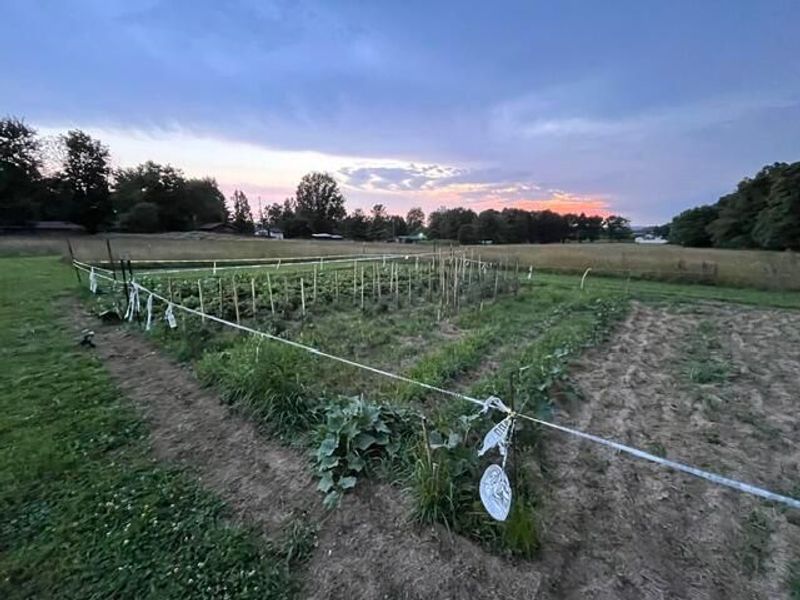 2270 Ginder Road NW, Lancaster, OH 43130 Photo 95