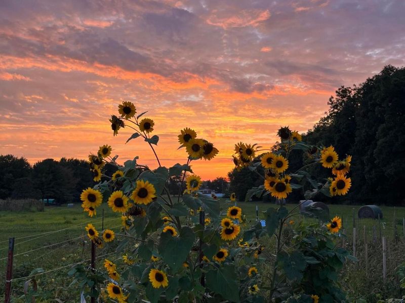 2270 Ginder Road NW, Lancaster, OH 43130 Photo 96