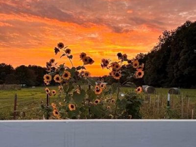 2270 Ginder Road NW, Lancaster, OH 43130 Photo 97