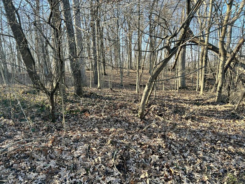 0 Burrwood Drive, Springfield, OH 45503 Photo 2