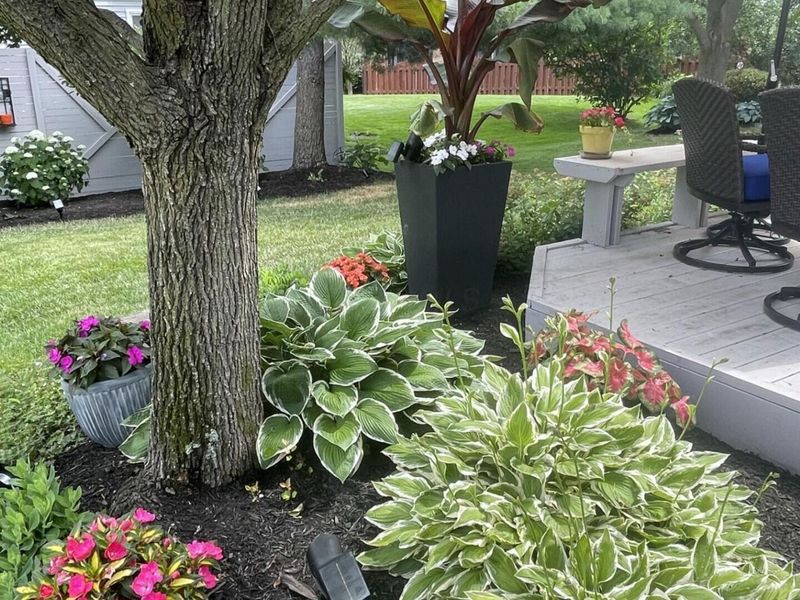 1216 Hooverview Drive , Westerville, OH 43082 Photo 41