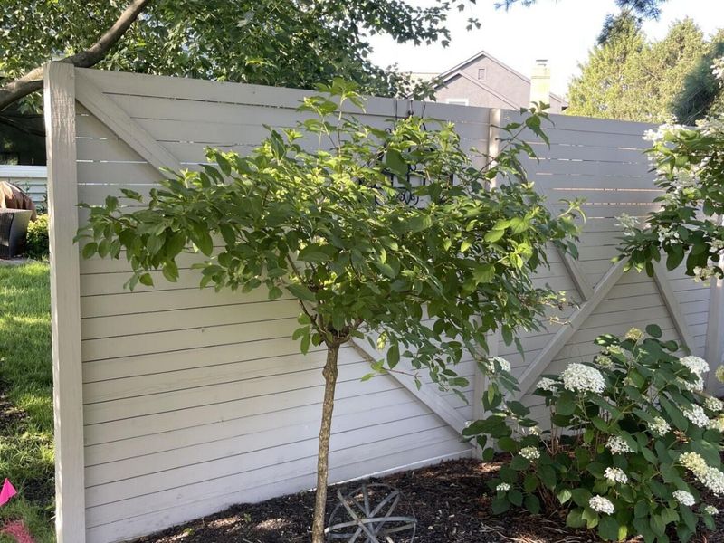 1216 Hooverview Drive , Westerville, OH 43082 Photo 42