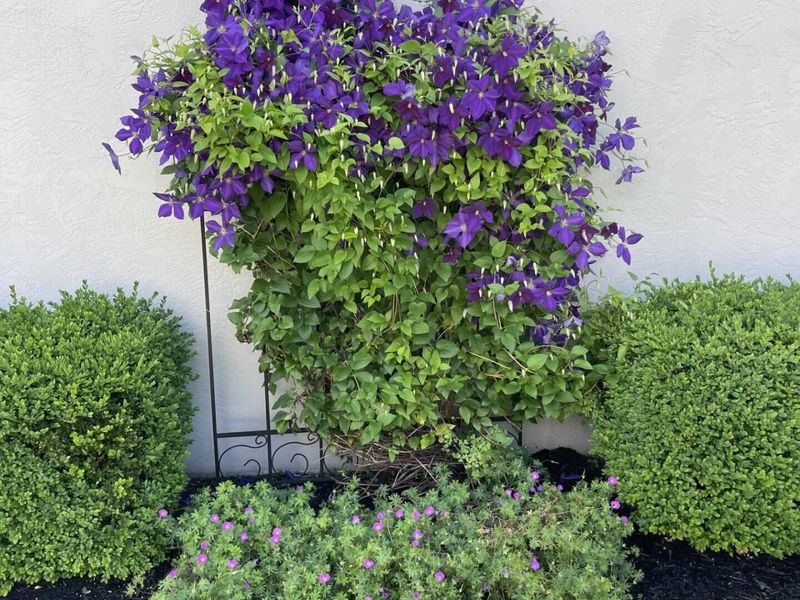 1216 Hooverview Drive , Westerville, OH 43082 Photo 44