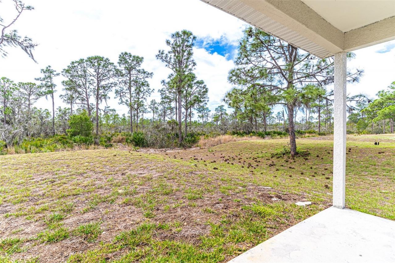 1417 Bittersweet Street, Lake Placid, FL 33852 Photo