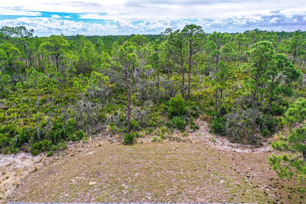 1417 Bittersweet Street, Lake Placid, FL 33852 Photo