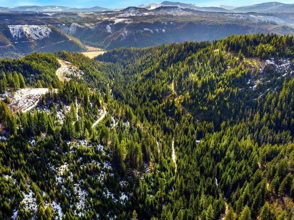 NKA Philips Draw Rd., St. Maries, ID 83861