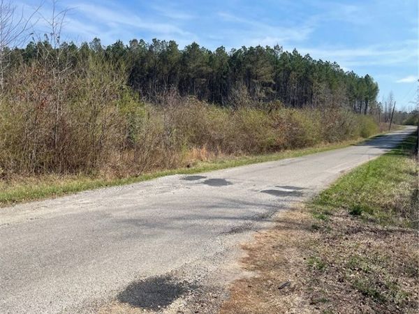 0 County Road 53, Eldridge, AL 35554