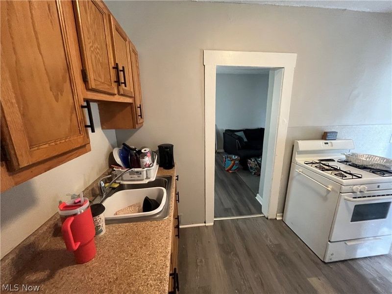 3688 W 15th Street, Cleveland, OH 44109 Photo 39