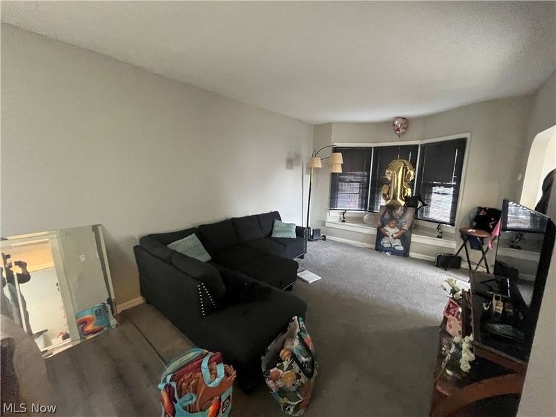 3688 W 15th Street, Cleveland, OH 44109 Photo 42