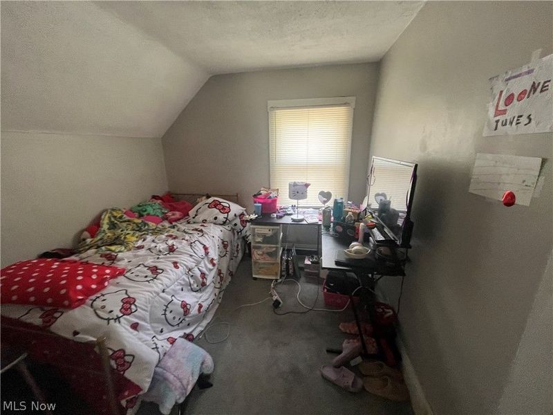 3688 W 15th Street, Cleveland, OH 44109 Photo 49