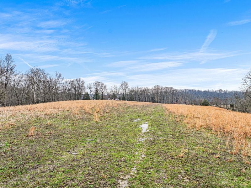 Verona, KY 41092 Photo 9