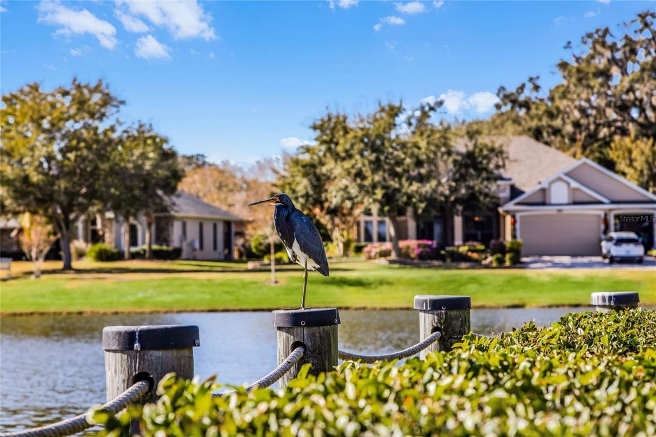 3942 Kennebunk Loop, Mount Dora, FL 32757 Photo