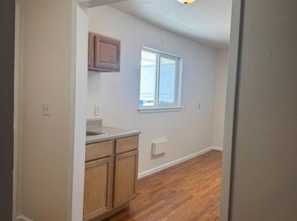 795 Louise Street, Reno, NV 89502 Photo