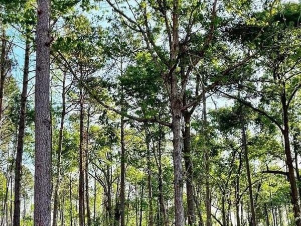 1660 Watkins Farm Road, Nicholson, GA 30565