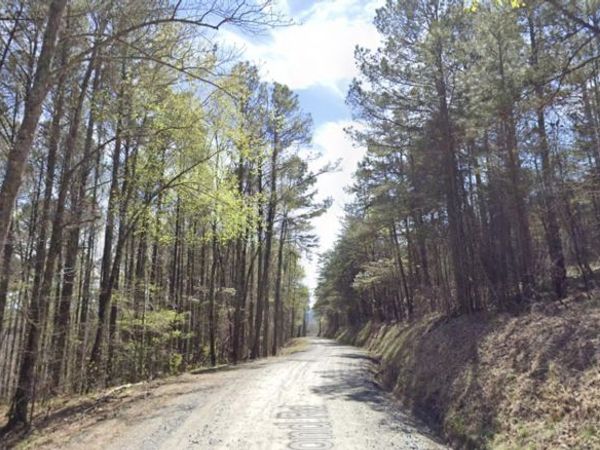 0 Dry Pond Road, Ranger, GA 30734