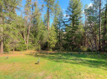 712 Bloomer Hill Rd, Berry Creek, CA 95916 Photo