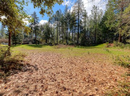 712 Bloomer Hill Rd, Berry Creek, CA 95916 Photo