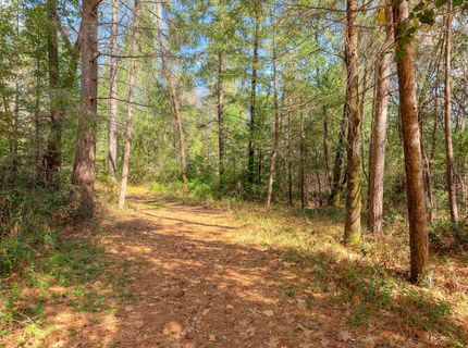 712 Bloomer Hill Rd, Berry Creek, CA 95916 Photo