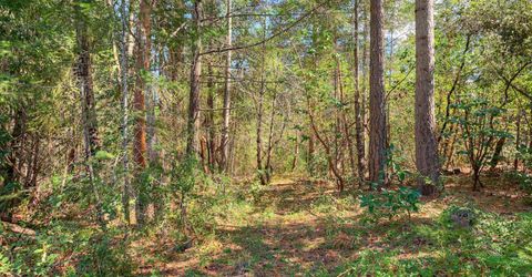 712 Bloomer Hill Rd, Berry Creek, CA 95916 Photo