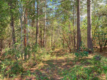712 Bloomer Hill Rd, Berry Creek, CA 95916 Photo